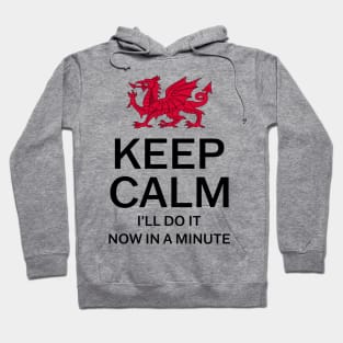 Keep Calm I'll Do It Now In A Minute Hoodie